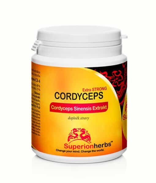 Cordyceps