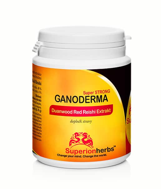 Reishi (Ganoderma)